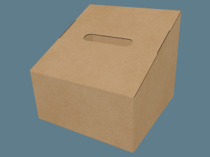 EVC12001 Ballot Box